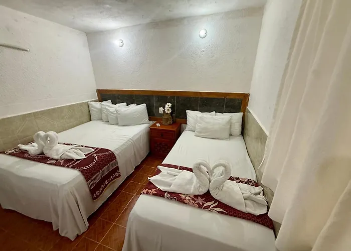 Playa Zama' Apartament *
